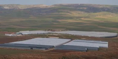 farmco tarim İŞletmelerİ